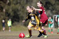 Greta Branxton 09G/01 v Singleton Strikers 09G/01