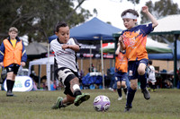 U7s - Maitland Magpies v Valentine U7s