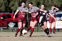 Warners Bay v Mid Coast FC
