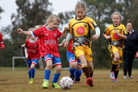 Greta Branxton 07G/01 v Kurri Kurri FC 07G/01
