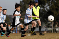 Mini Roos 7s - Maitland JFC v Cessnock United