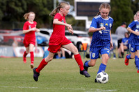 11s Girls - Broadmeadow Magic v Newcastle Olympic