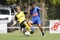 U15 SF - Newcastle Olympic v Lambton Jaffas