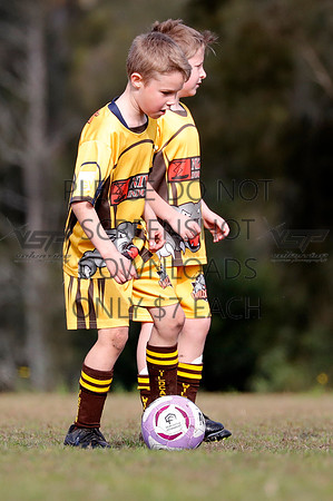 Q-059