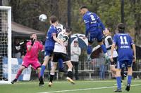 GF - Newcastle Olympic v Maitland FC