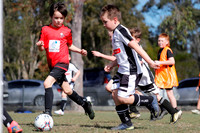 U8s - Maitland JFC v Thornton Devils