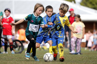 6/7s & Girls - Cobra 6s v Kahibah Panthers (2nd  game)