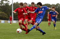U14 GF - Newcastle Olympic v Broadmeadow Magic
