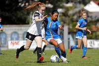 Charlestown Azzuri v Maitland FC