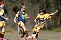 Greta Branxton 07/03 v Greta Branxton 07/01