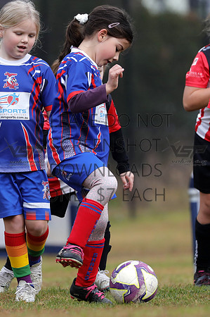 N-021