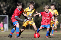 Greta Branxton 09/02 v Kurri Kurri FC 09/01
