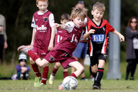 Edgeworth JSC 08/03 v Warners Bay 08/03