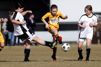 Mini Roos 11 Girls - Maitland JFC v Greta Branxton