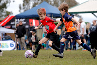 U7s - Valo United v Devil's Angels