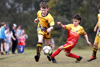 Greta Branxton 08/04 v Gresford Vacy 08/01