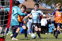 U8s - Valentine Messi v Thornton All Stars
