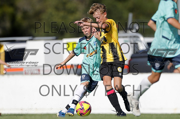 A-096