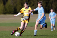 Greta Branxton 12/01 v Hamilton Azzurri 12/01