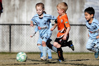 Southern Lakes United 05/02 v Swansea FC 05/02