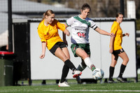 Adamstown Rosebud v Kempsey Saints
