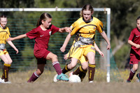Greta Branxton 10G/01 v Singleton Strikers 10G/01