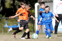 Southern Lakes United 07/02 v West Wallsend 07/02