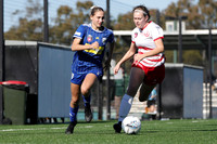 Newcastle Olympic v Charlestown Azzuri