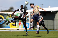 Cooks Hill United v New Lambton