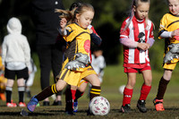 Greta Branxton 06G/02 v Bellbird  JFC 06G/01