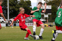 12s Boys - Broadmeadow Magic Red v Adamstown Rosebud