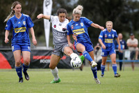 Grand Final - Newcastle Olympic v Warners Bay