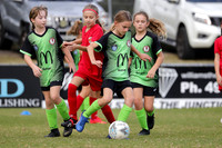 10s Girls - Broadmeadow Magic v Adamstown Rosebud