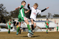 Mini Roos 9s - Maitland JFC v Rutherford FC