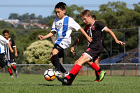 Cup Final - Illawarra Academy v Macquarie White