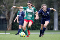 Adamstown Rosebud v New Lambton