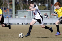 Interdistrict U12 (A) - Maitland JFC v Medowie FC