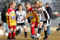 Mini Roos 7 Girls - Maitland JFC v Gresford Vacy FC