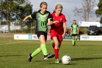 12s Girls - Broadmeadow Magic v Adamstown Rosebud