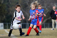 Mini Roos 5s - Maitland JFC v Tenambit Sharks