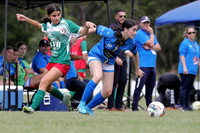 Charlestown Azzuri v Adamstown Rosebud