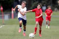Broadmeadow Magic v New Lambton