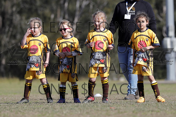 H-030