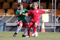 9s  - Broadmeadow Magic Red v Adamstown Rosebud