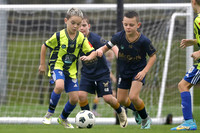 New Lambton Gold v Newcastle Olympic White