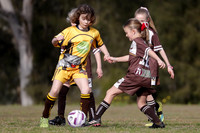 Greta Branxton 08G/01 v Bolwarra Lorn 08G/01