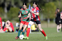 Adamstown Rosebud JFC 13G/01 v South Cardiff CFC 13G/01