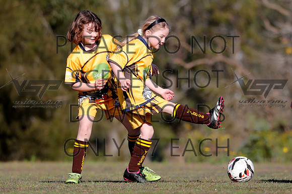 B-033