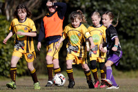 Greta Branxton 08G/01 v Lochinvar Rovers 08G/02