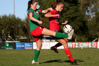 Adamstown Rosebud v Thornton Redbacks
